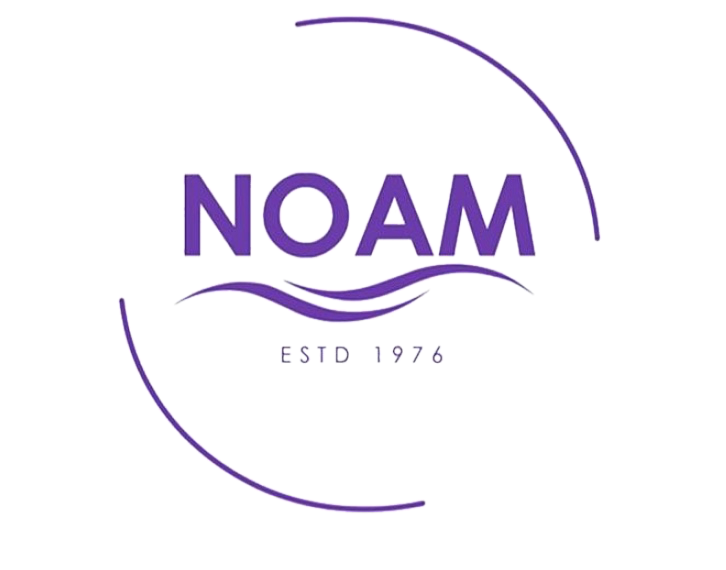 NOAM — מזרוני נועם